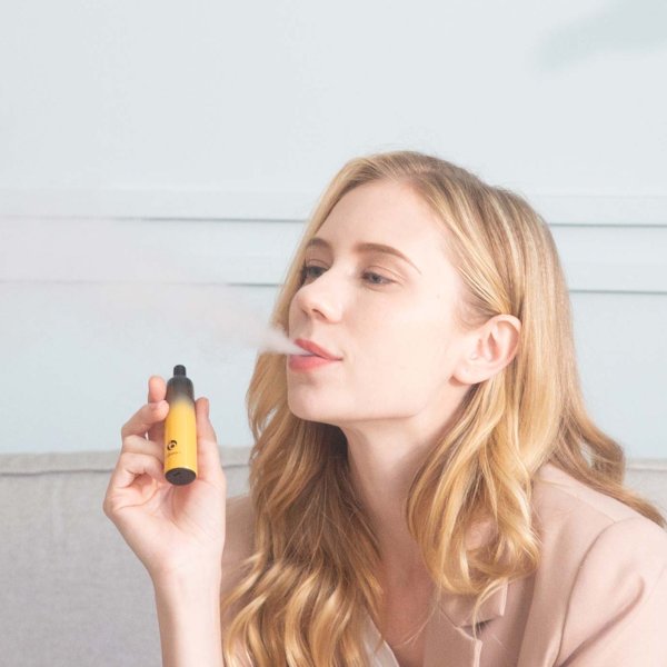 The Best e cigarette Vabeen Plum