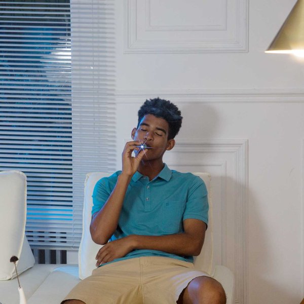 Enjoyment Experience with Plum Disposable Vape Pen